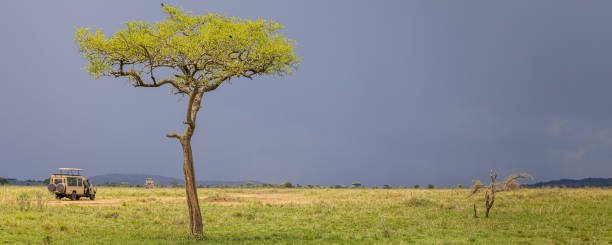  Transport During Rainy Season in Tanzania 